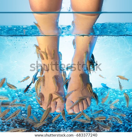 Fish Spa - Pedicure With Rufa Garra
