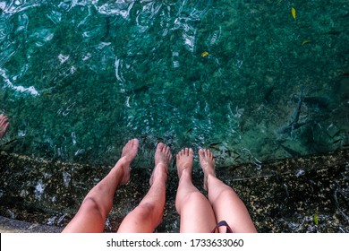 Fish Spa Under Balete Tree 