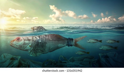 
Fish Swims Among Plastic Ocean Pollution. Plastic Pollution Affects Sea Life Throughout the Ocean. Environment Concept