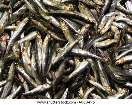 Similar – Image, Stock Photo ANCHOA CLUSTER Chrome