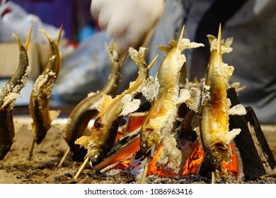 

Fish Tossed With Salt And Burned Alive.