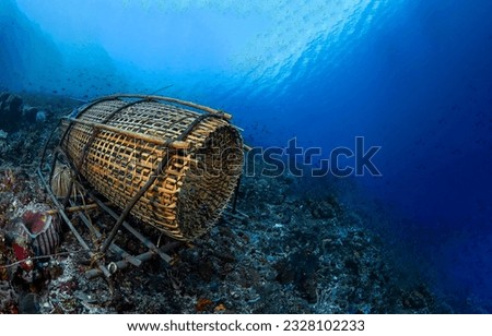 Fish trap on the seabed underwater. Fish trap underwater. Underwater fish trap. Underwater coral fish trap