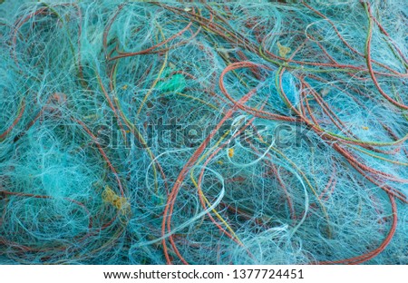 Similar – Image, Stock Photo Fritz F. is off today Net