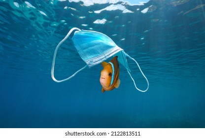 Fish under surgical face mask  plastic pollution underwater in the ocean  Coronavirus waste COVID  19 pandemic