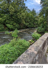 Fish Way In River Regnitz