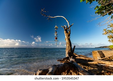 Fish Wind Mobile Hanging From Dead Tree On The Beach