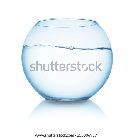 fishbowl with water on white