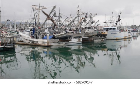 Fisherman boats and yacht in the Harbor  at Marine Emporium Landing in Oxnard, California USA. - Shutterstock ID 582709147