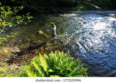 A Fisherman Casting A Fly Rod In The Cedar River