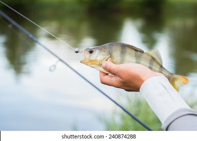 Fisherman Caught A Fish.