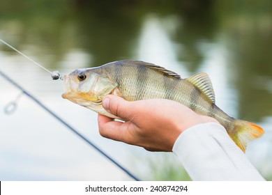 Fisherman Caught A Fish.