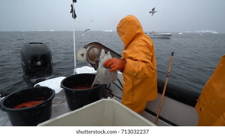 Inuit Fishing Boat Gorsel Stok Fotograf Ve Vektorleri Shutterstock