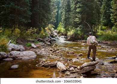 Fisherman Fishing In Piney River, Colorado, USA