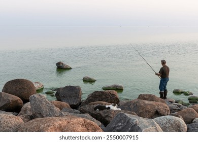 A fisherman with a fishing rod is fishing on a rocky seashore. A cat is lying on the boulders and watching the fisherman. Traditional fishing. Evening seascape. Gulf of Finland, Baltic Sea. - Powered by Shutterstock