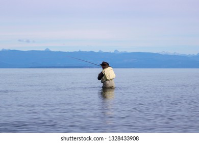 Fisherman Flyfishing Coho Saratoga Beach Vancouver Stock Photo ...