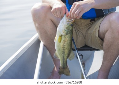 Fisherman With Freshly Caught Freshwater Drum Fish In Lake Erie, Ontario, Canada.