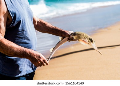 Fisherman With A Harmless Shark On Fishing Line