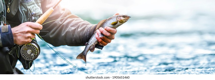Fisherman holding fish, mountain river in background. Fishing wide banner or panorama photo.