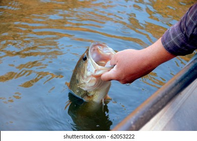 Fisherman Holding A Large Mouth Bass Closeup