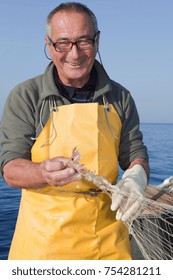 fisherman on boat, trawling, smiling