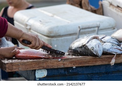 Fisherman Preparing Fish To Sell On The Colombian Beach