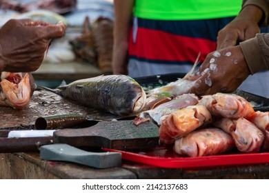 Fisherman Preparing Fish To Sell On The Colombian Beach