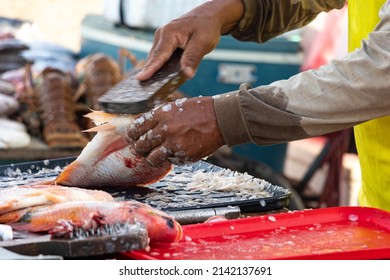 Fisherman Preparing Fish To Sell On The Colombian Beach