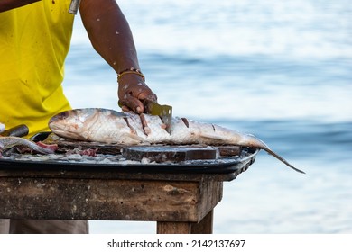 Fisherman Preparing Fish To Sell On The Colombian Beach