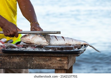 Fisherman Preparing Fish To Sell On The Colombian Beach