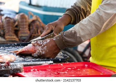 Fisherman Preparing Fish To Sell On The Colombian Beach