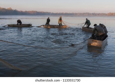 Fisherman pulling and controlling nets with fish 