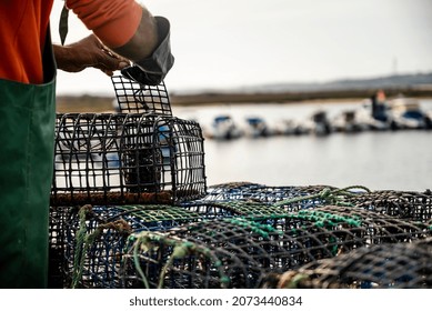 Fisherman Puts Crab Inside Octopus Traps In Alvor, Algarve, Portugal