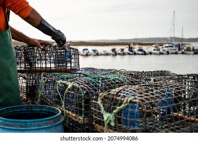 Fisherman puts crab inside octopus traps in Alvor, Algarve, Portugal