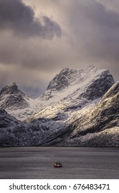 Fisherman Ride The Boat To Arctic Ocean For Catch Some Fish For Sale At Lofoten Island Norway