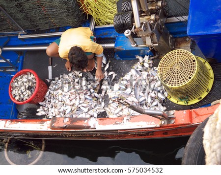 Fisherman sliced fish in the boat. for sell in the fresh market.