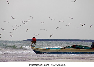fisherman using the net to catch the fish