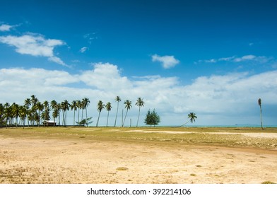 the fisherman village view on sunny day. seaside view at Terengganu, Malaysia. 