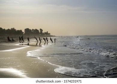 Fishermans Pulling The Nets On To The Beach Of Senegambia