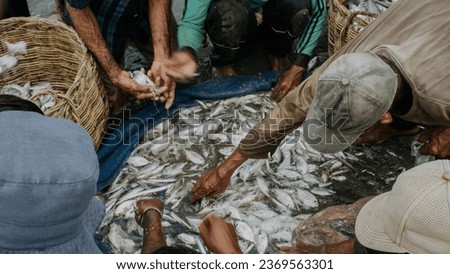 Fishermen look for fish for their daily needs