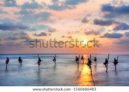 Fishermen on the stilts in silhouette at the sunset in Sri Lanka.