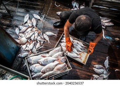 fishermen sort through their catch on deck