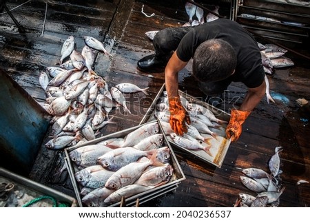 fishermen sort through their catch on deck