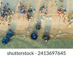 Fishermen are trading fish. Binh Minh fish market seen from above, the morning market in a coastal village, to buy and sell seafood. 
