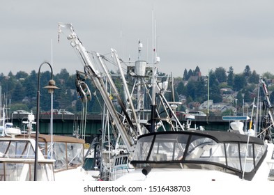 At Fishermens Terminal In Ballard, Seattle