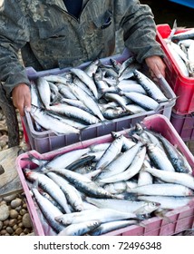 Fisher's Hands Put A Box Full Of Fresh Fish