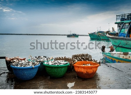 A fishery harbour is a complex of facilities that acts as an interface between the capture of fish and its consumption