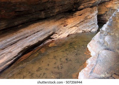 Fishes in the river