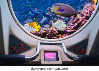 Fishes In Submarine Window - Underwater Marine Life