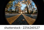 Fisheye lens shot of street double yellow lines on asphalt street with fall autumn leaves and trees on sidewalk