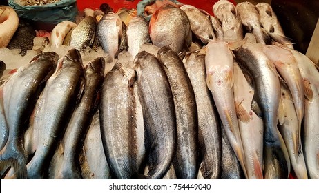 Fresh Kilanga Fish Sale On Indian Stock Photo (Edit Now) 1922543708